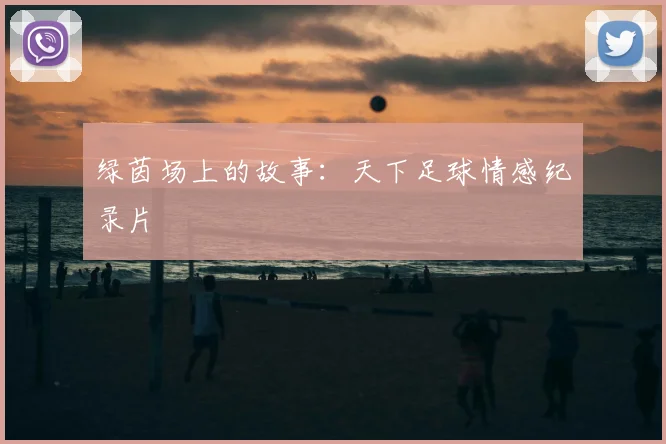 绿茵场上的故事：天下足球情感纪录片