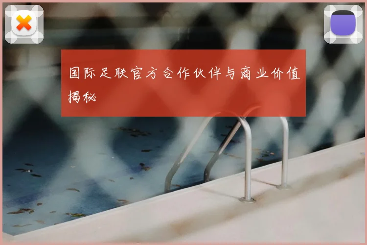 国际足联官方合作伙伴与商业价值揭秘